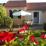 Lupus Vodice